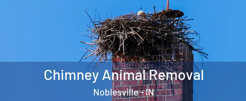 Chimney Animal Removal Noblesville - IN