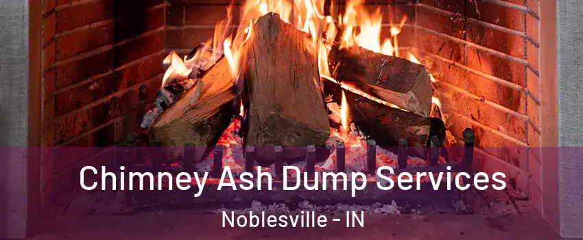  Chimney Ash Dump Services Noblesville - IN