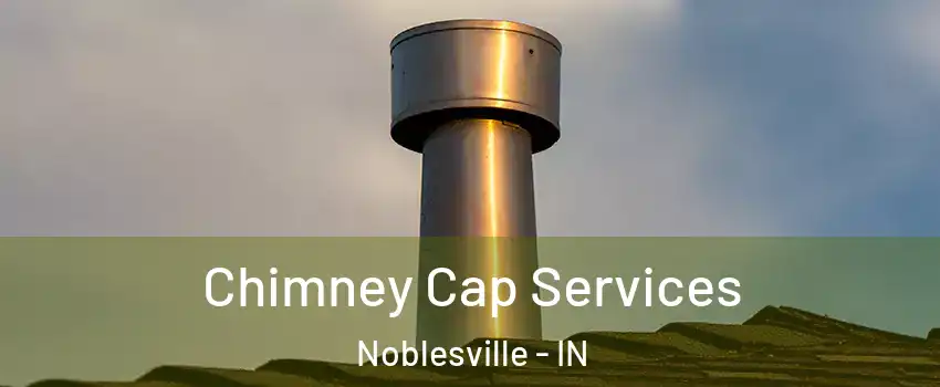  Chimney Cap Services Noblesville - IN