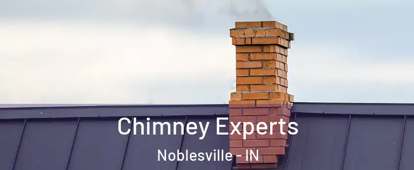 Chimney Experts Noblesville - IN