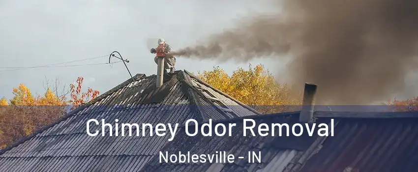  Chimney Odor Removal Noblesville - IN