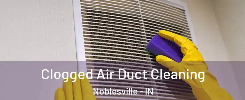 Clogged Air Duct Cleaning Noblesville - IN
