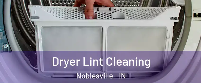  Dryer Lint Cleaning Noblesville - IN