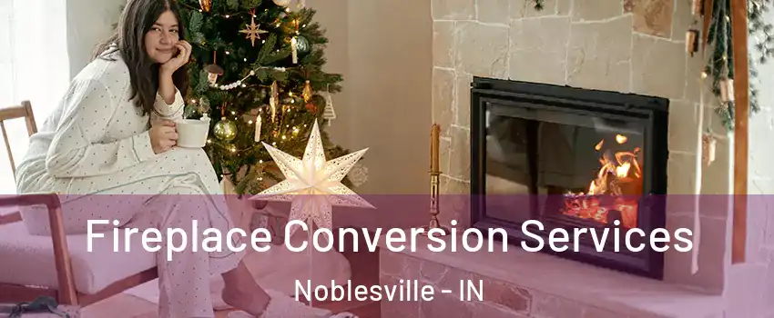  Fireplace Conversion Services Noblesville - IN