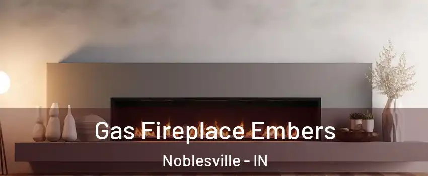  Gas Fireplace Embers Noblesville - IN