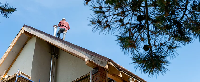 Birds Removal Contractors from Chimney in Noblesville, IN