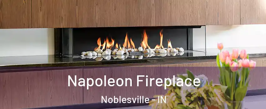  Napoleon Fireplace Noblesville - IN