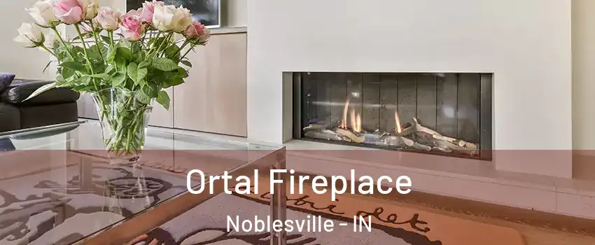 Ortal Fireplace Noblesville - IN